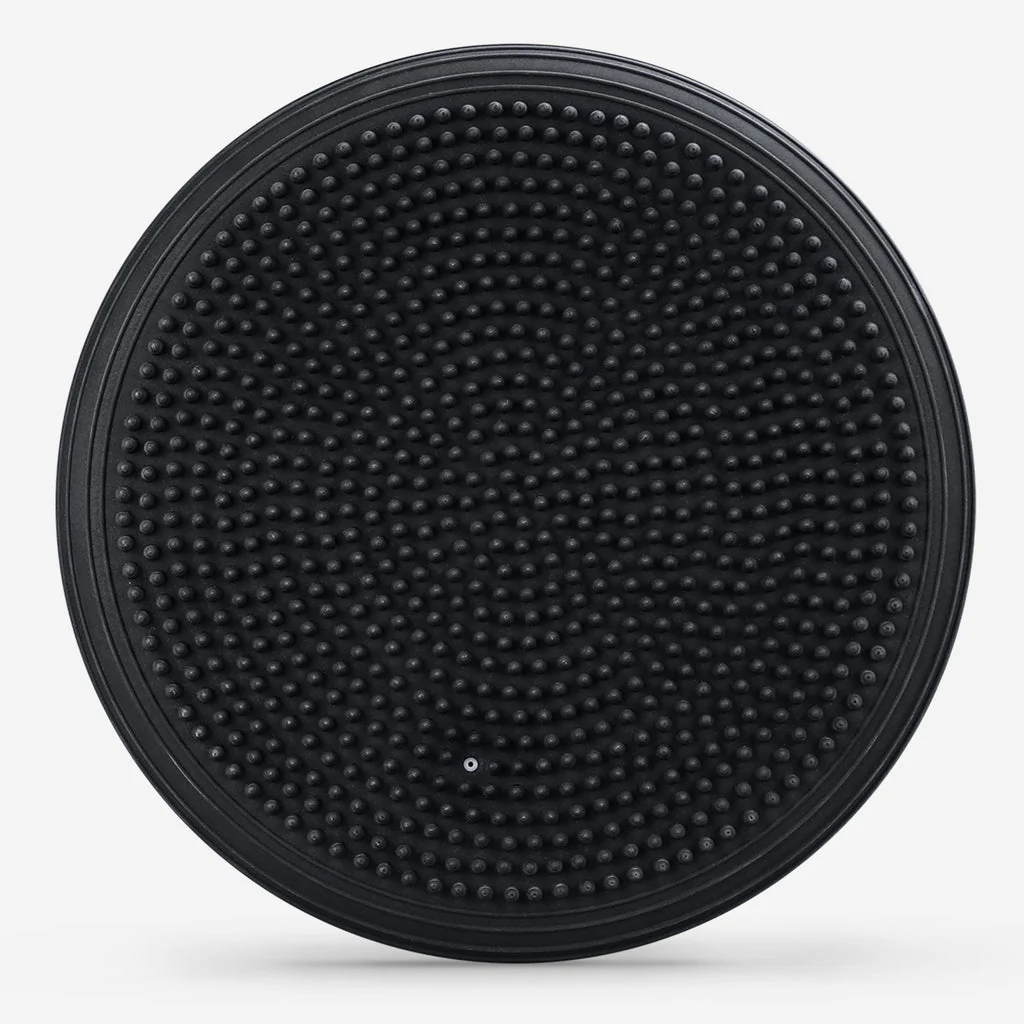 PTP Stability Disc - Image 3